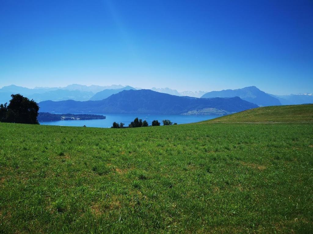 Marmottin Apartman Luzern Kültér fotó