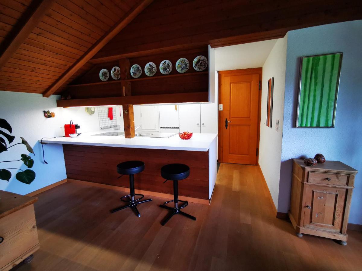 Marmottin Apartman Luzern Kültér fotó